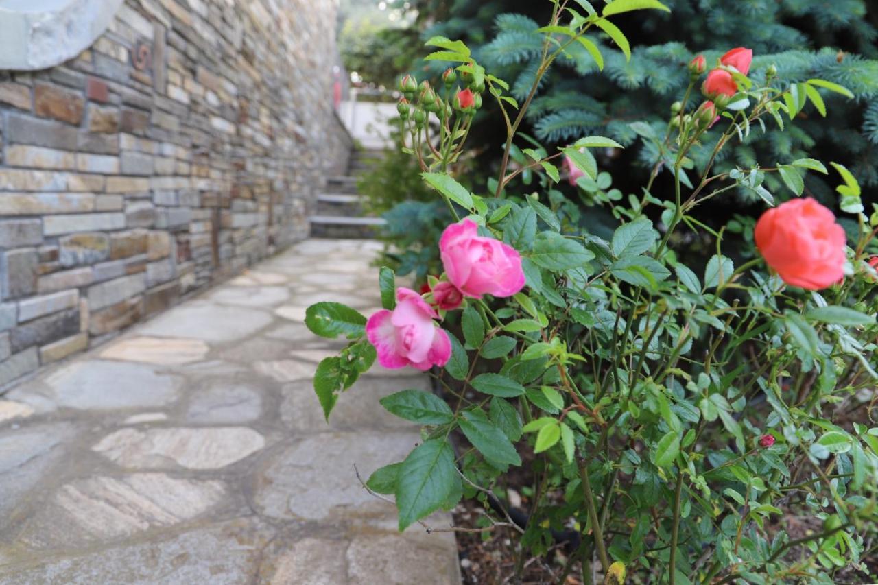 Belle Maison Villa Kavala Dış mekan fotoğraf